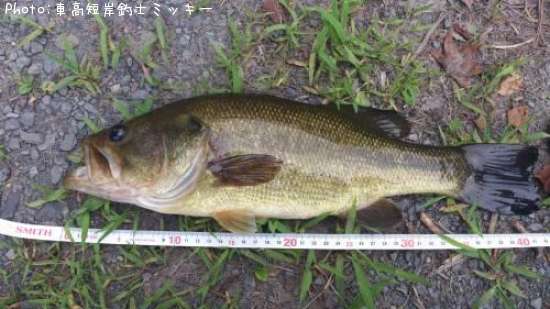 �֥�å��Х�