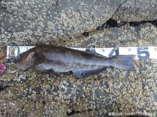 �����ʥ�