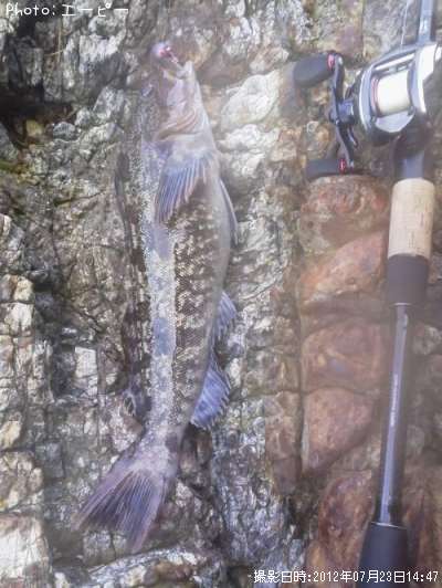 �����ʥ�