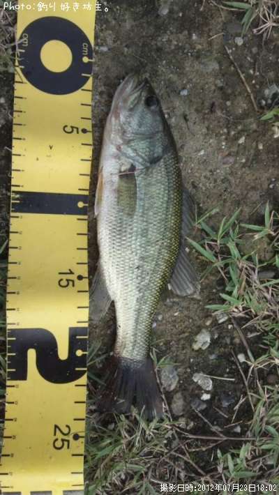 �֥�å��Х�