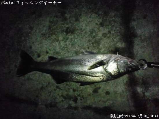 �����Х�