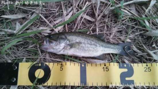 �֥�å��Х�