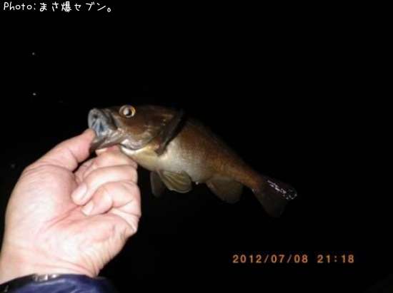 ������Х�