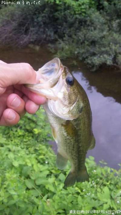 �֥�å��Х�