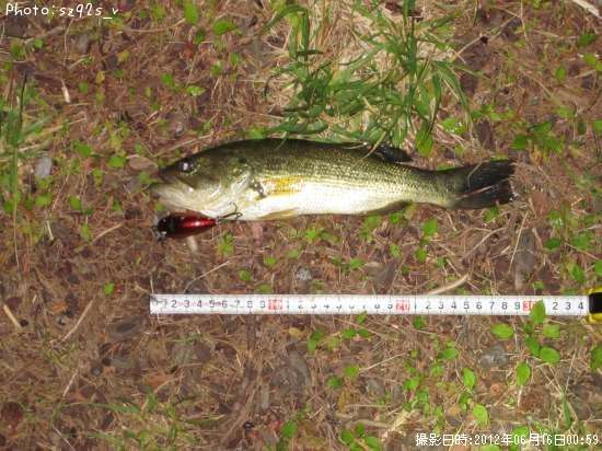 �֥�å��Х�