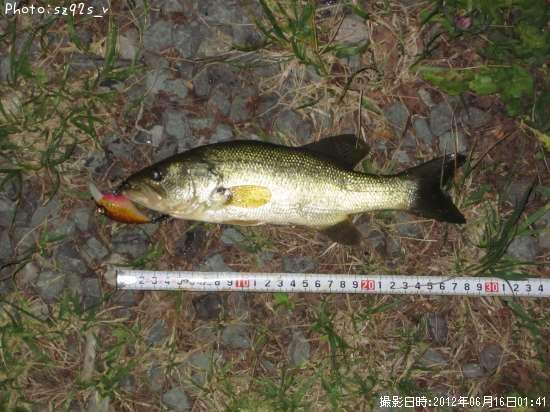 �֥�å��Х�