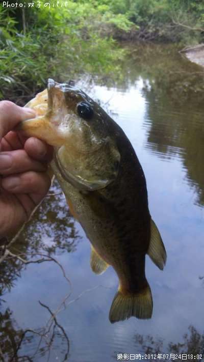 �֥�å��Х�