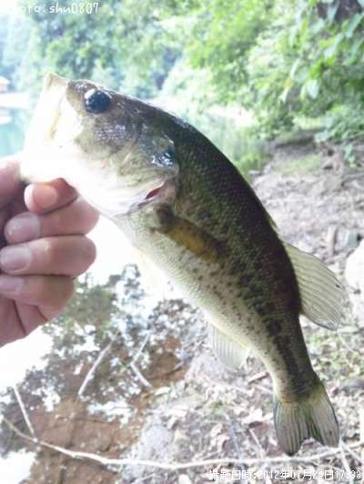 �֥�å��Х�