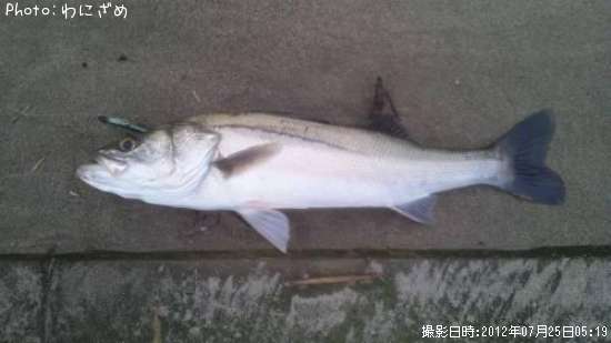 �����Х�