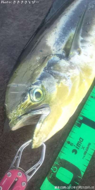 ����������ޥ�