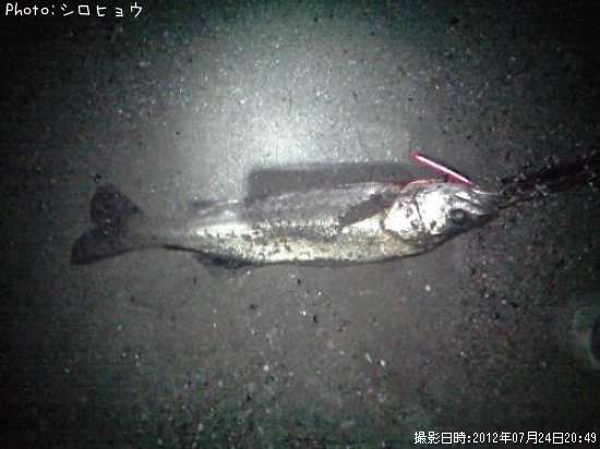 �����Х�