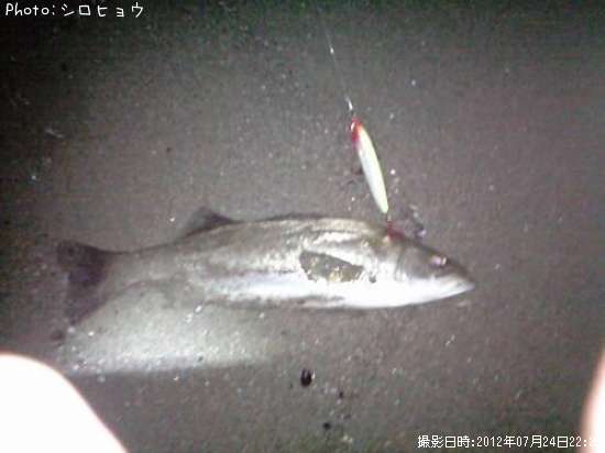 �����Х�