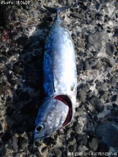 ���������ĥ�