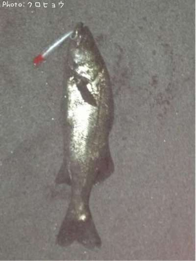 �����Х�