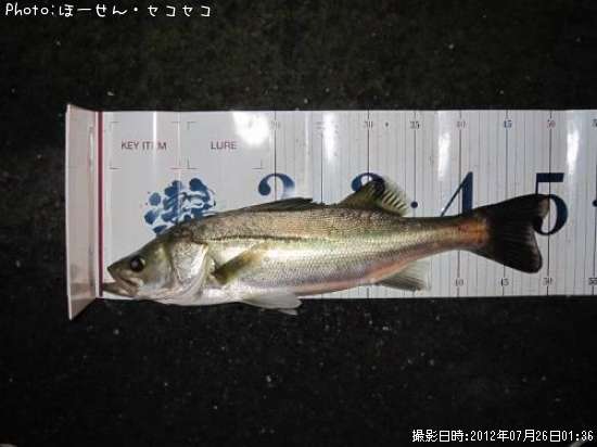 �����Х�