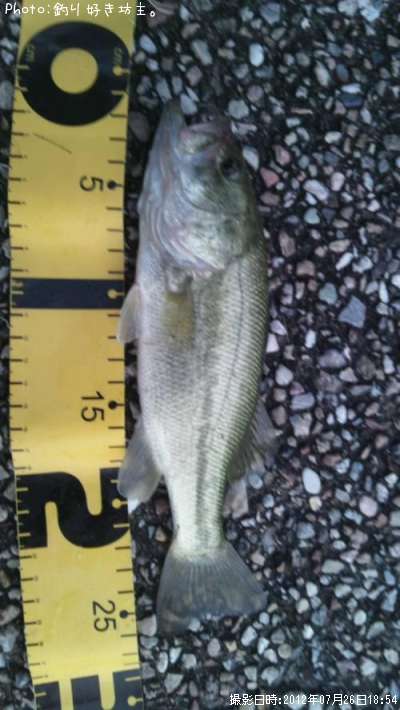 �֥�å��Х�