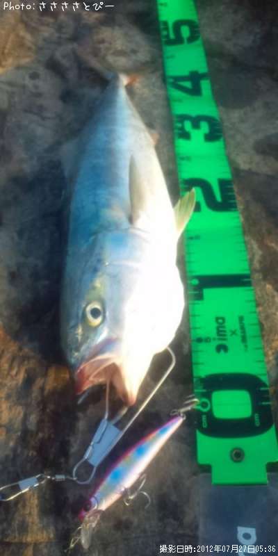 ���ʥ������ޥ�