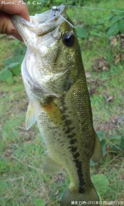 �֥�å��Х�