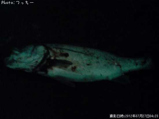 �����Х�