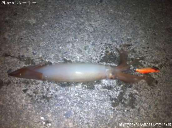 ����ᥤ��