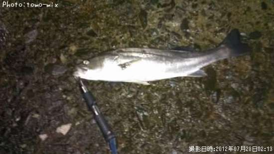 �����Х�