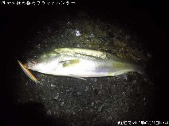 �����Х�