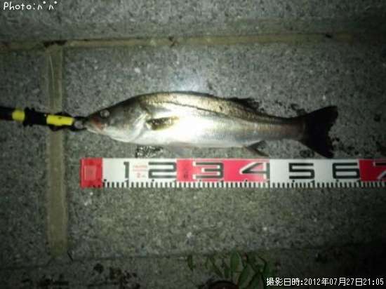 �����Х�