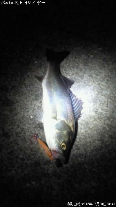 �����Х�