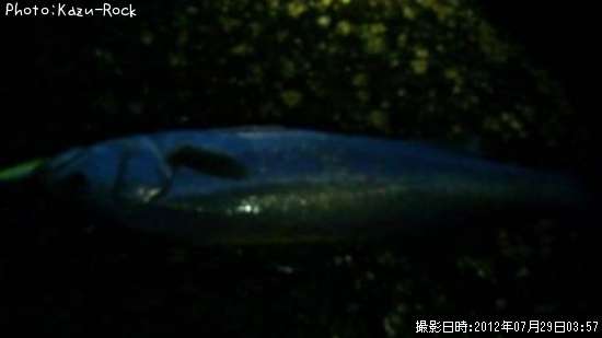 �����Х�