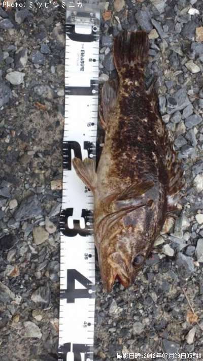 �����Υ���Х�