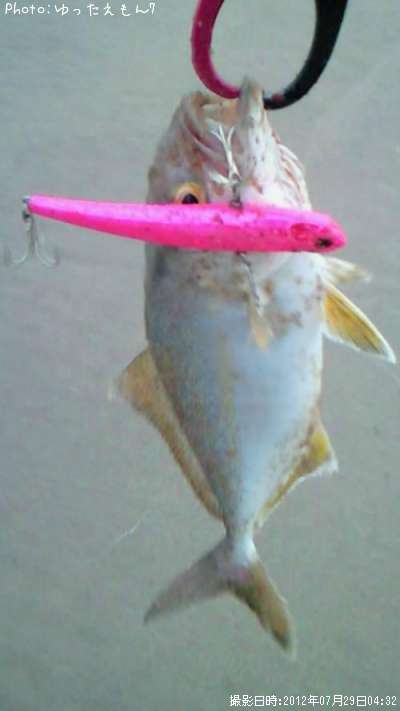 ����ѥ��λ�