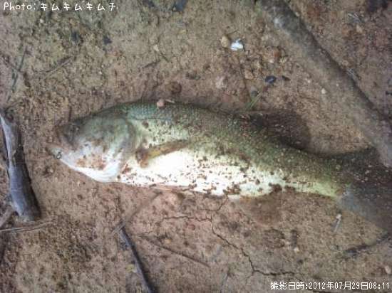 �֥�å��Х�