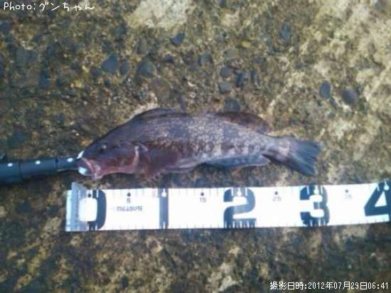 �����ʥ�