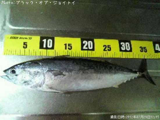 ���������ĥ�