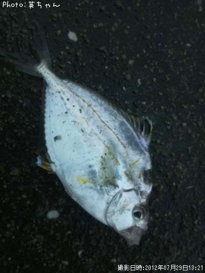 �ҥ��饮��