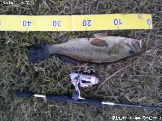 �֥�å��Х�