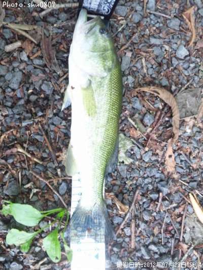 �֥�å��Х�