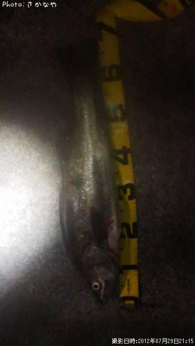 �����Х�