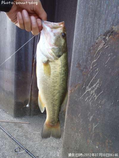 �֥�å��Х�