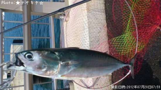 ���������ĥ�