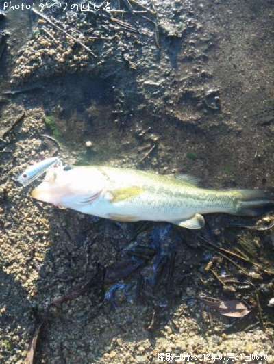 �֥�å��Х�