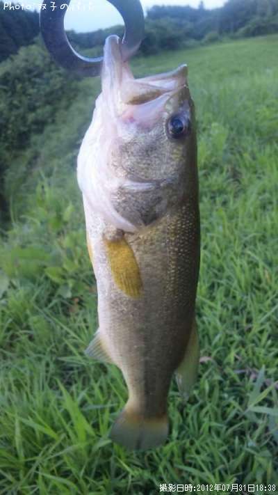 �֥�å��Х�