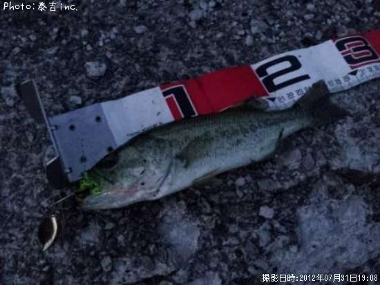 �֥�å��Х�