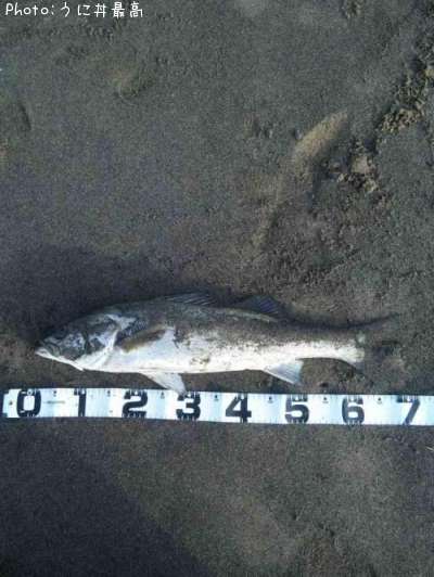 �����Х�