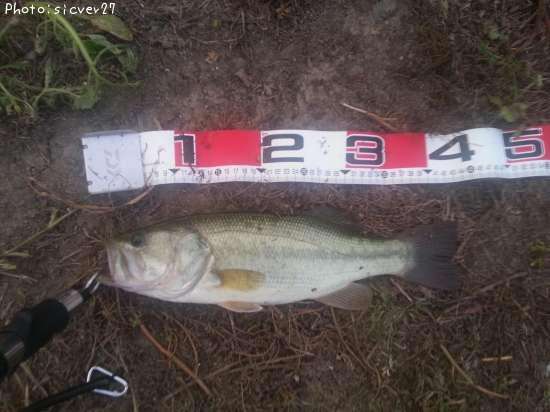 �֥�å��Х�