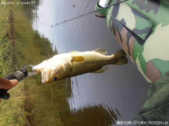 �֥�å��Х�