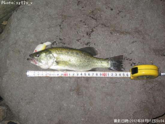 �֥�å��Х�