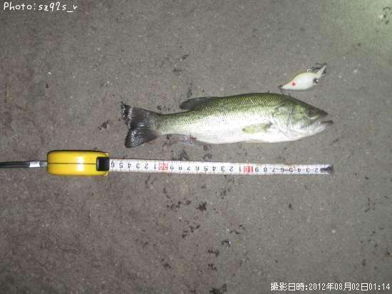 �֥�å��Х�