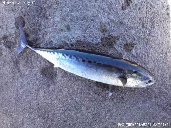 ���������ĥ�