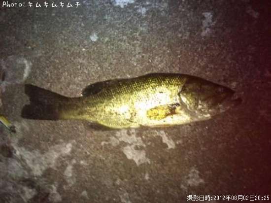 �֥�å��Х�